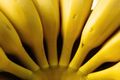 Раскрыты новые полезные свойства бананов 