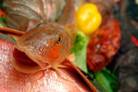 «Рыбный союз» предлагает усовершенствования системы контроля импорта рыбы