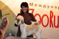 "Зоо Россия 2012" откроет свои двери для специалистов и любителей животных